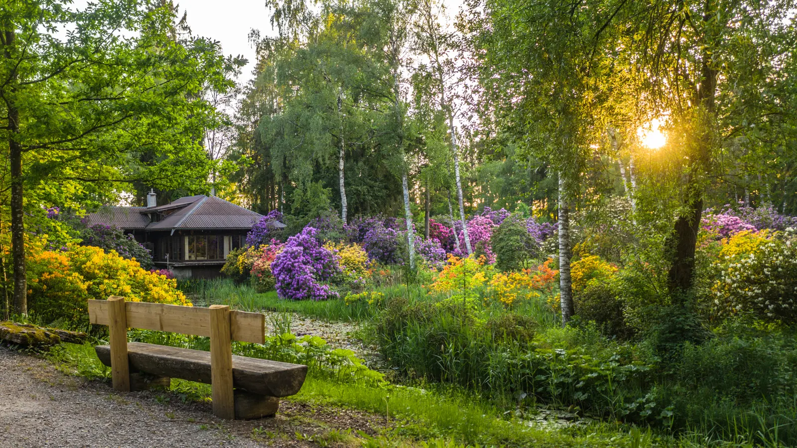 Large 0599 Large 0599