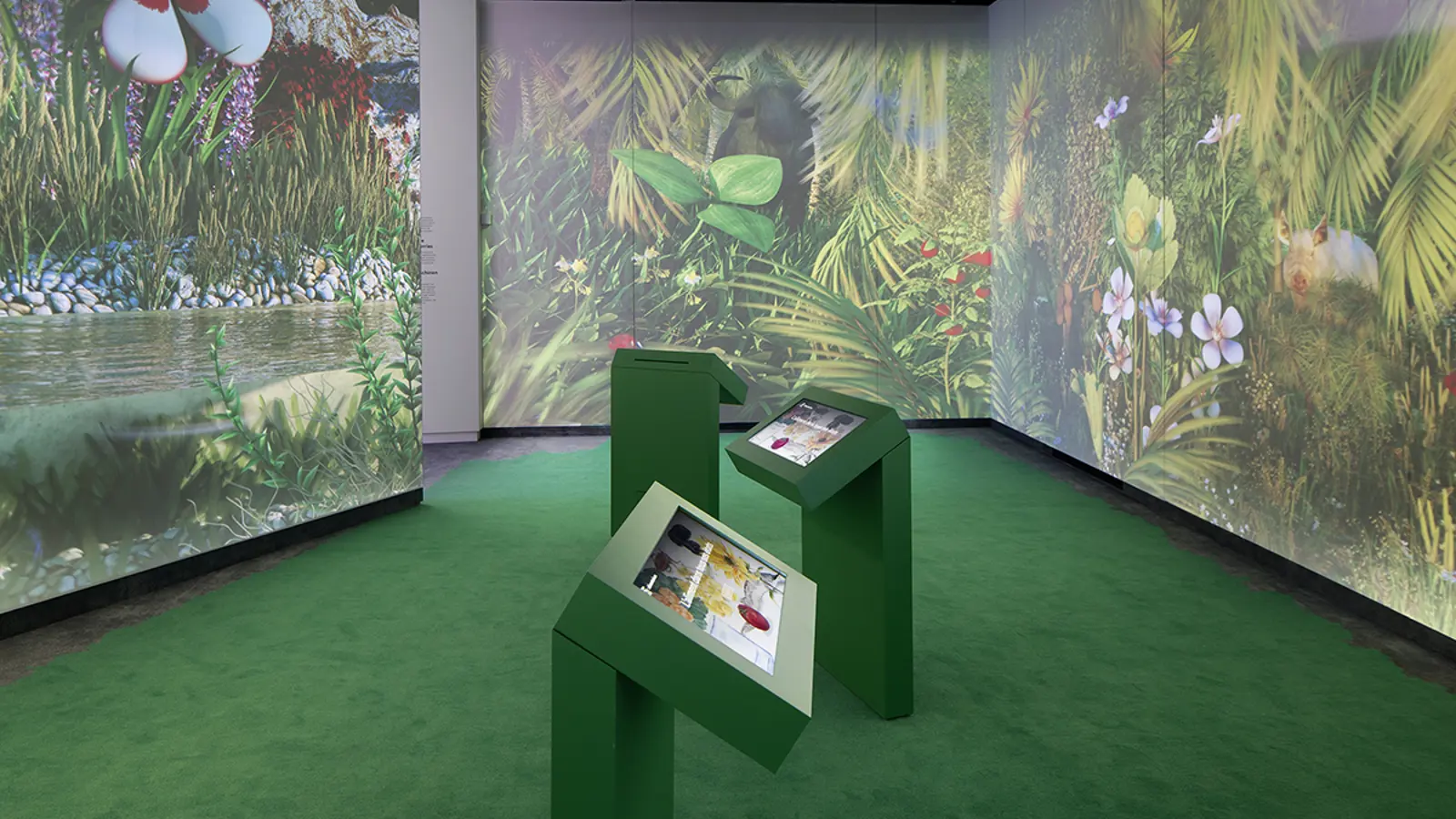 2575 Alimentarium 02 2575 Alimentarium 02