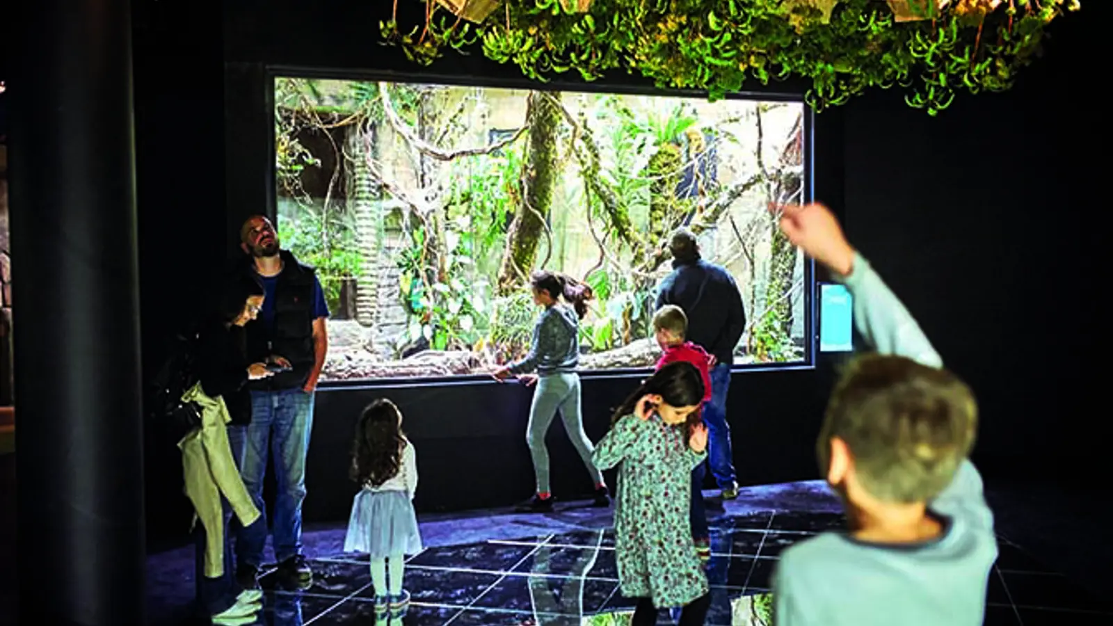 Aquatis Aquarium Vivarium Public Scenographie Sedrik Nemeth Cmjn