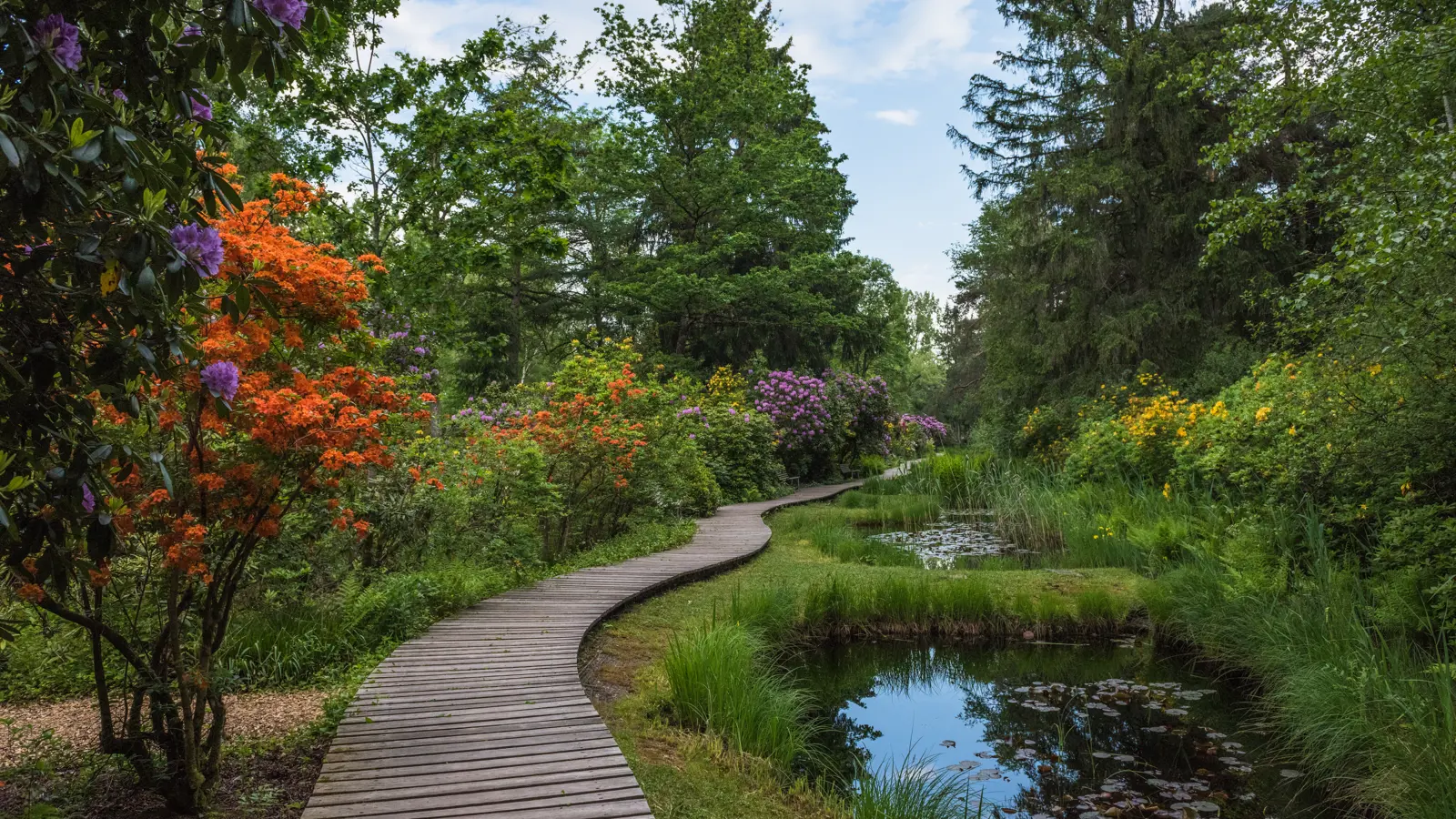 Large 9216 (1) Large 9216 (1)