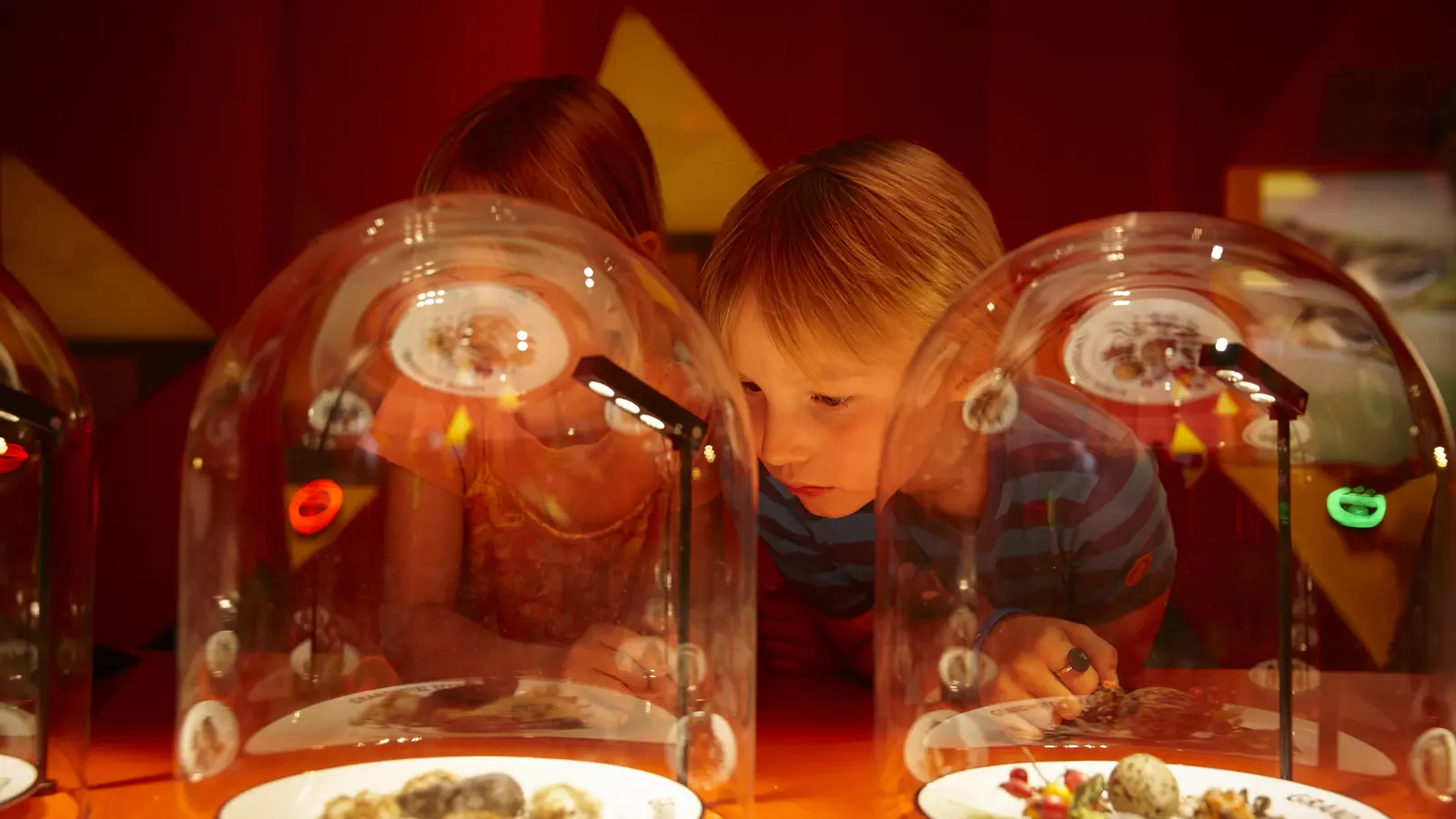 Vogelwarte Fressen Schweizerische Vogelwarte Alexander Jaquemet Vogelwarte Fressen Schweizerische Vogelwarte Alexander Jaquemet