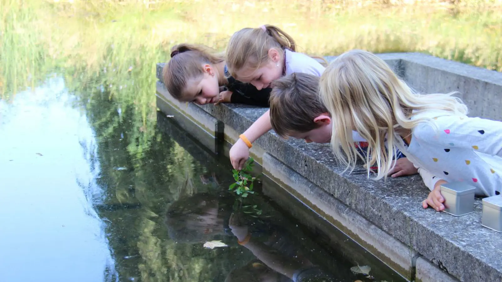 Csm Am Teich Naturama Aargau 0553D4a9f3 Csm Am Teich Naturama Aargau 0553D4a9f3