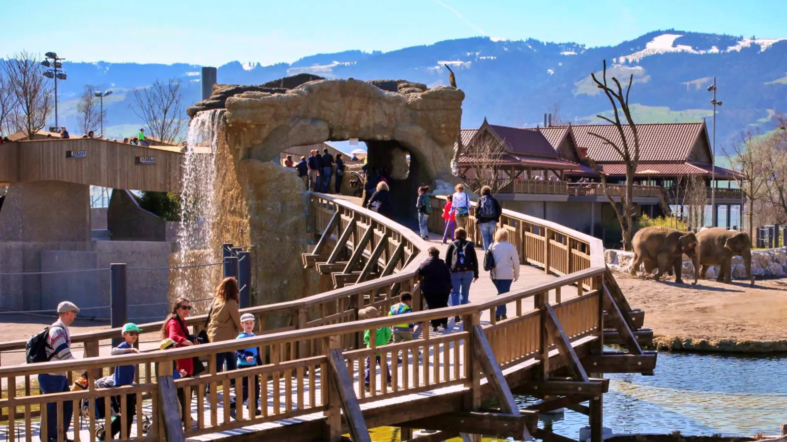 Elefantenpark Bruecke Elefantenpark Bruecke