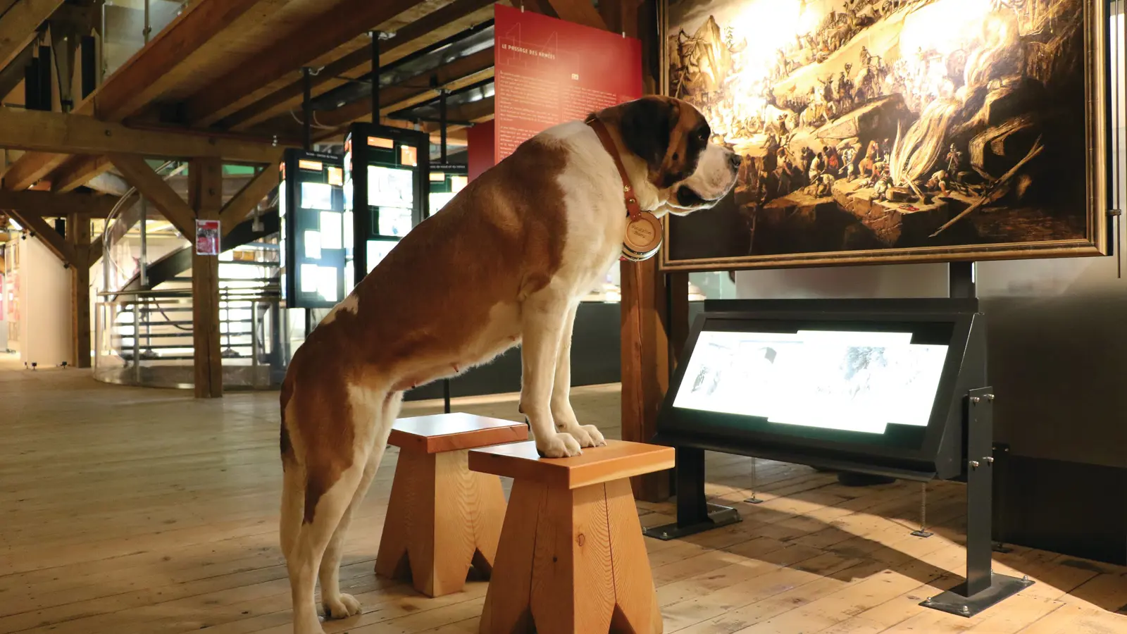 Barryland 2 (2) Barryland 2 (2)