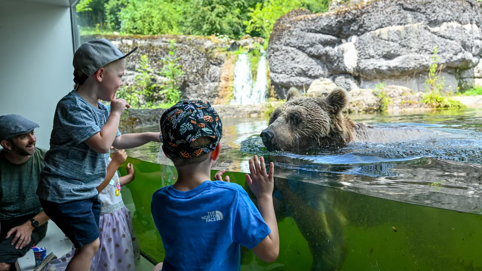 Beobac 1 (1) Beobac 1 (1)