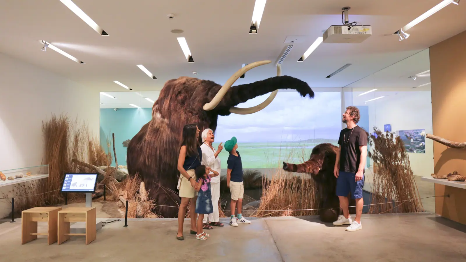 2023 Dauerausstellung Ug Mammut 1 Naturama