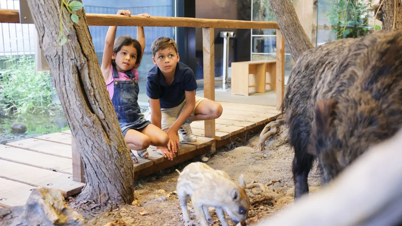 Csm 2023 Dauerausstellung Eg Wildschweine 1D3e735164